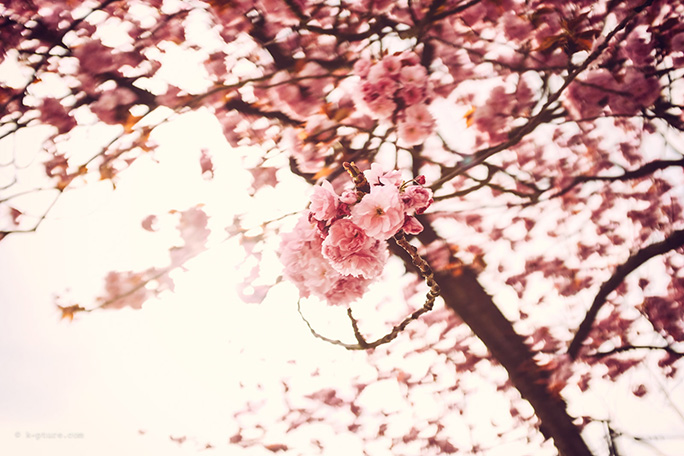 x100s-05